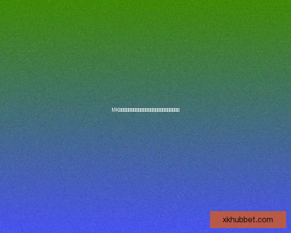 星空体育平台全面升级 引领未来体育直播新风潮