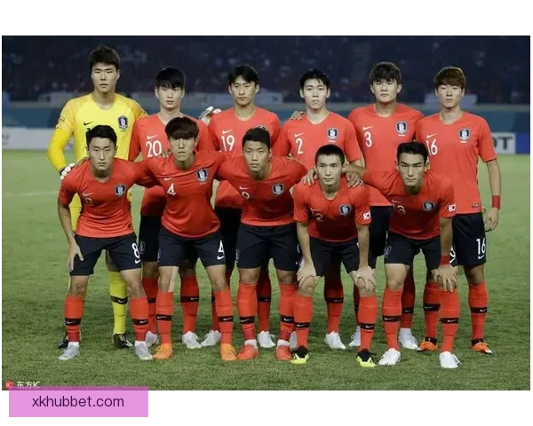 星空体育投注平台全面解析与最新优惠活动全指南